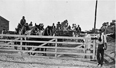 Horses and carts at railway gates, Kyabram Railway Station, circa 1915