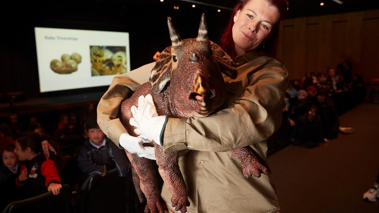 a woman holds a baby triceratops.