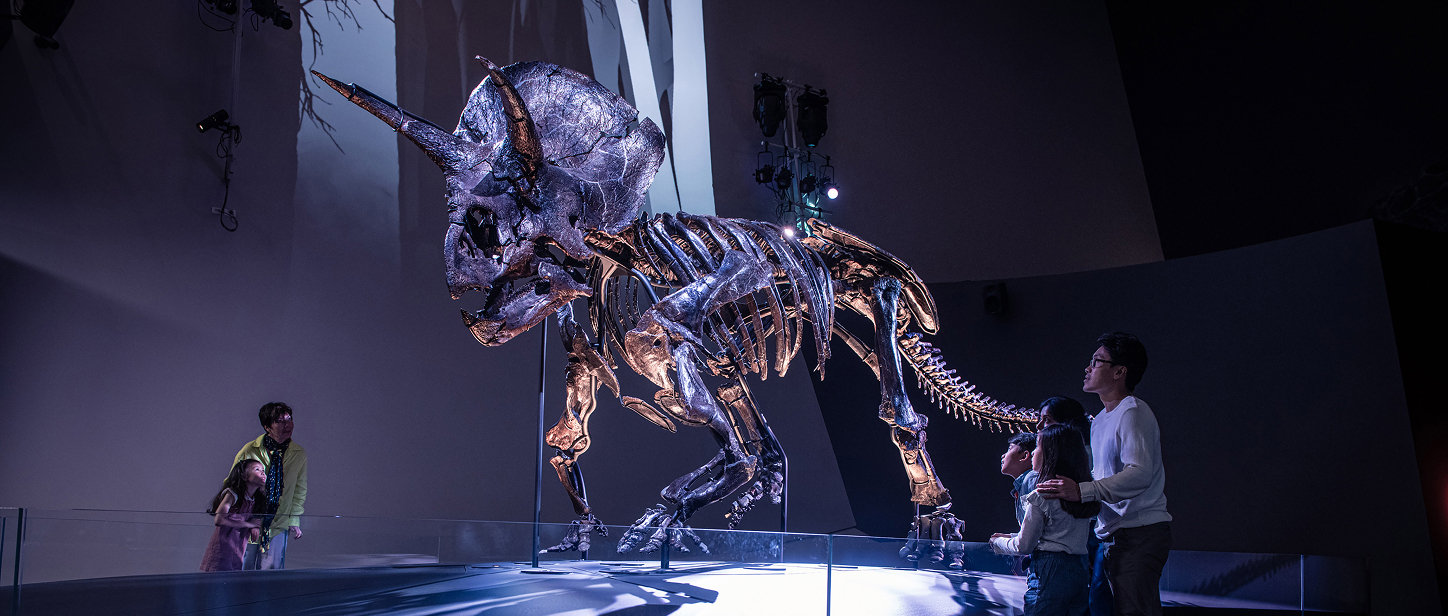 museumsvictoria.com.au