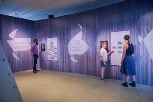Children learning about different types of ants in Antopia exhibition.