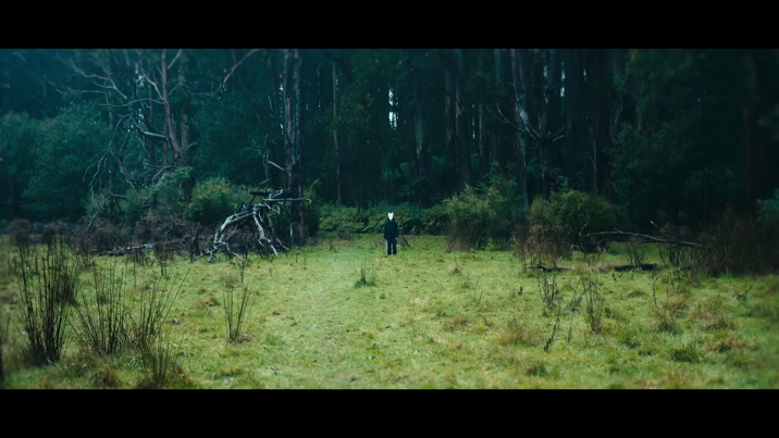 A figure in dark clothing and a white animal mask stands alone in a misty forest clearing, surrounded by tall trees and wild grass.