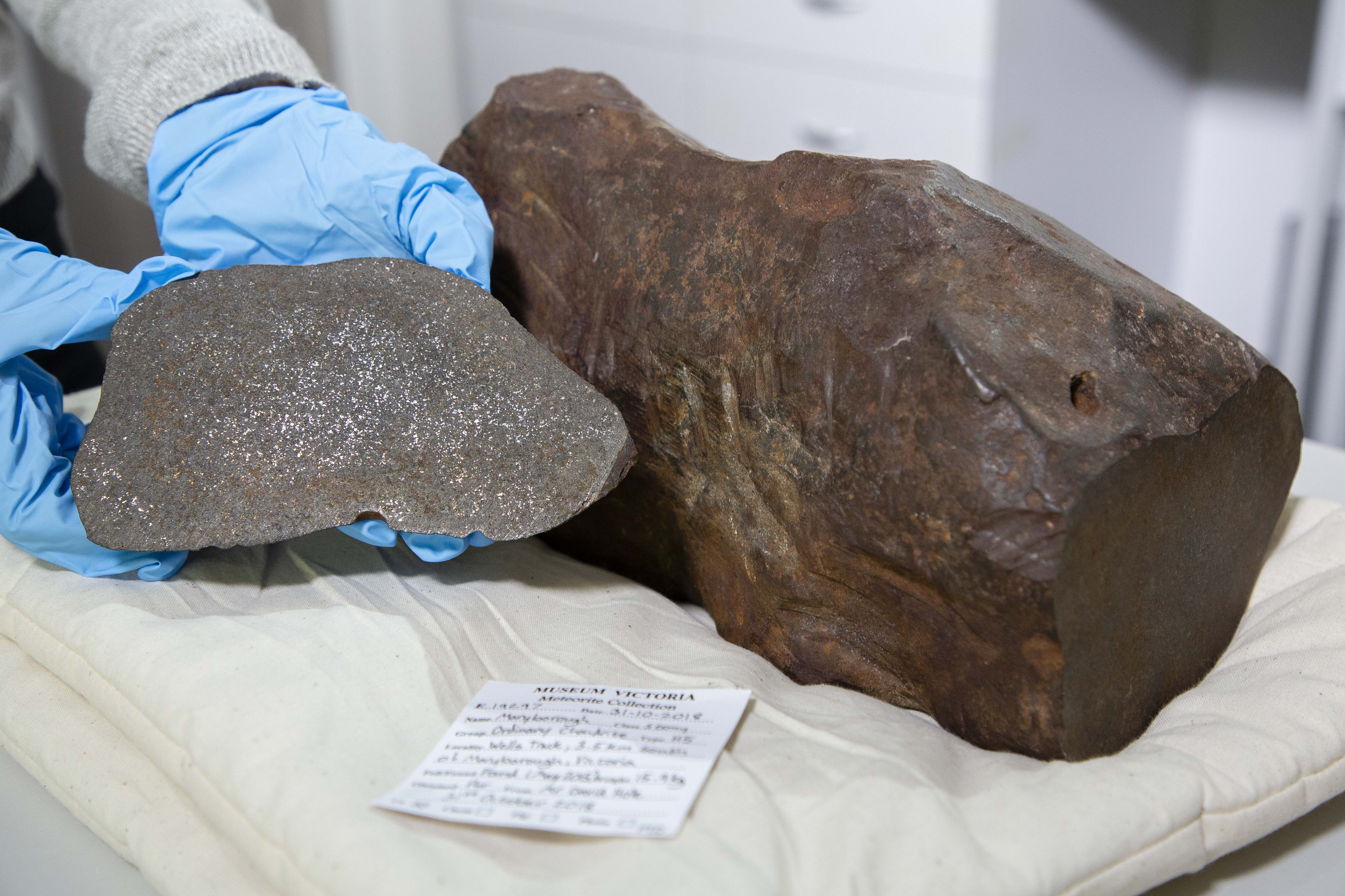 Meteorite Found By Gold Prospector The First Found In Victoria Since 1995 Comes To Museums Victoria Museums Victoria