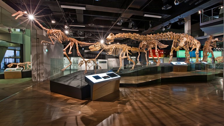 Science and Life Gallery, Melbourne Museum