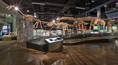 Science and Life Gallery, Melbourne Museum
