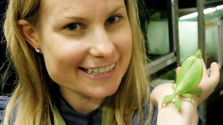 Woman holding a leaf insect on her wrist