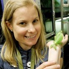 Woman holding a leaf insect on her wrist