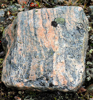 Acasta gneiss: some of the oldest rock on Earth