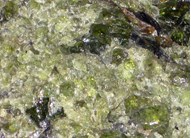 Olivine, a green mineral