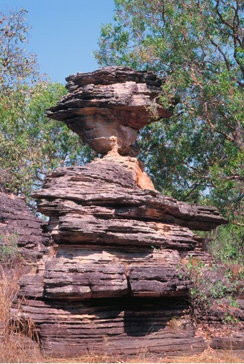 Sandstone formation with tall trees in the background