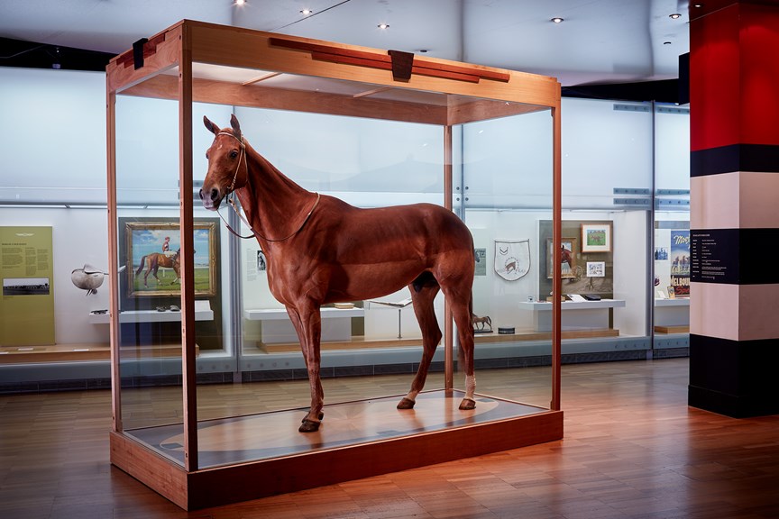 Phar Lap exhibit in the Melbourne Story Gallery.