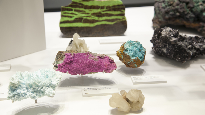 Detail of carbonate display in the Dynamic Earth exhibition at Melbourne Museum.