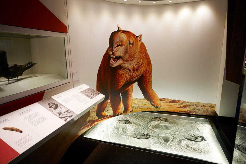 Diprotodon display in Our Story section of the First Peoples exhibition in Bunjilaka.