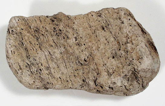 Pumice specimen
