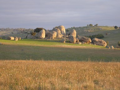 Granite boulders in a paddock