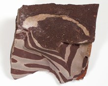 Zebra rock specimen