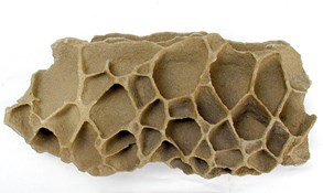 Honeycomb weathered arkose