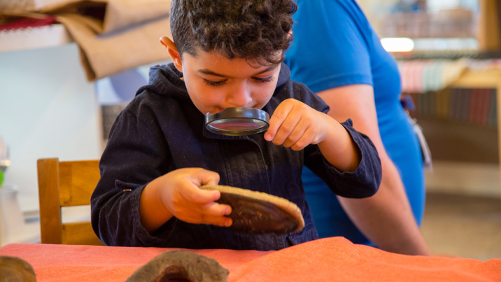 Kindergarten child using a magnifying glass to look at a scientific specimen during a visit by the Museums Victoria outreach team.