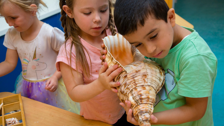 Two kindergarten children looking at a large conch shell during a visit by the Museums Victoria outreach team.