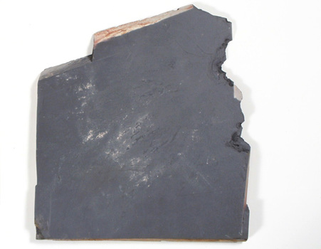 Slate specimen