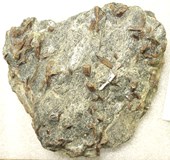 Staurolite mica schist specimen