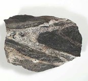 Migmatite specimen