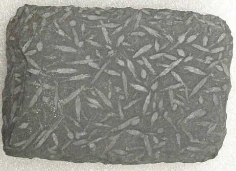 Andalusite schist specimen
