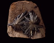 Stibnite mineral specimen