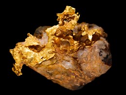 Gold with quartz mineral specimen