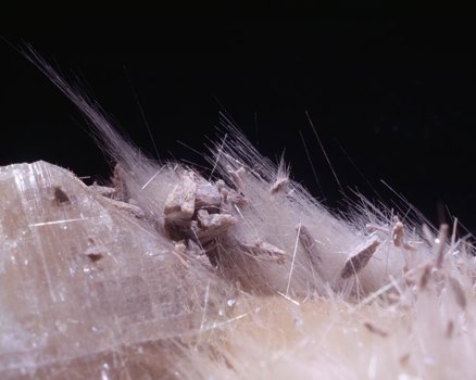 Bustamite specimen