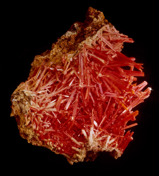 Crocoite mineral specimen