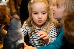 Children engaging with the Museum Outreach Programs display, during the Romp and Stomp event at Melbourne Museum.