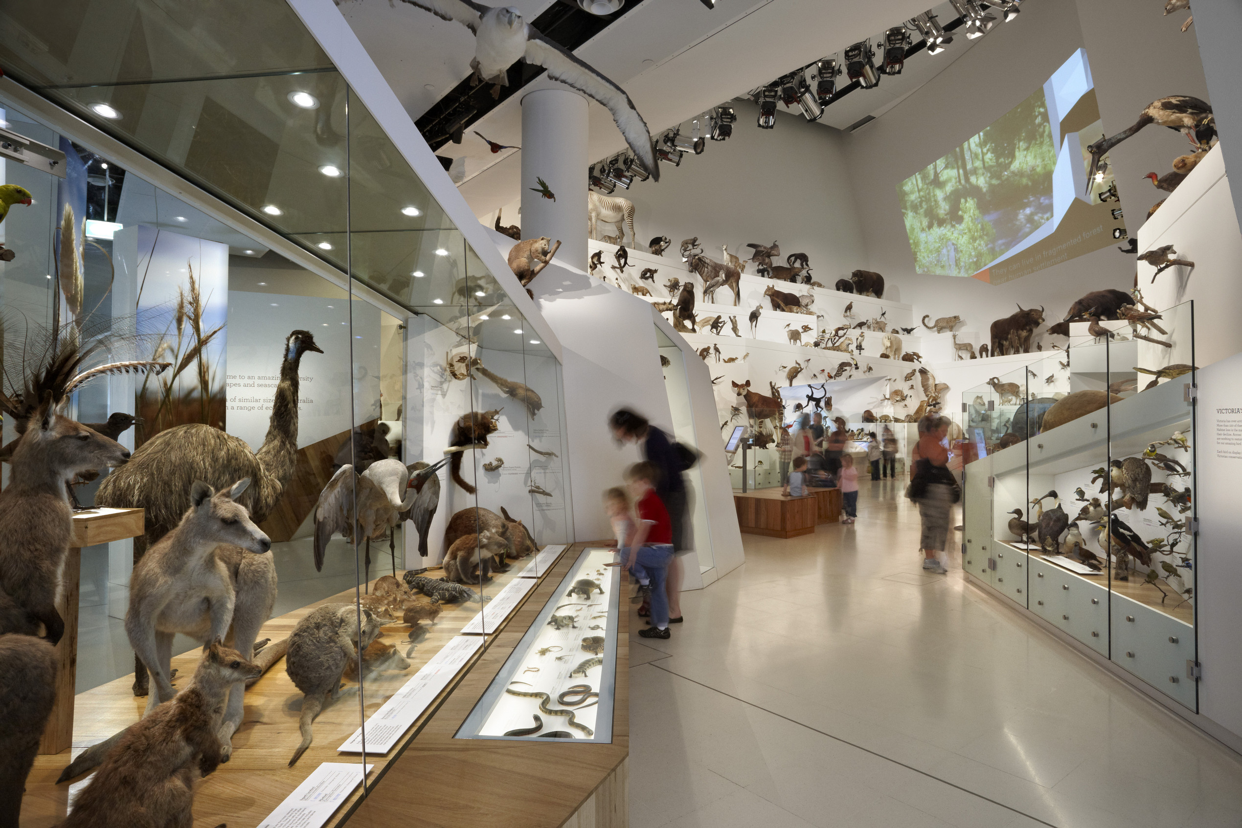 Melbourne Museum Melbourne Museum