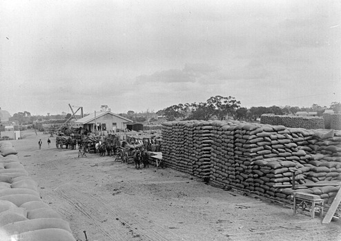 Constructing grain stack, Warracknabeal rail yards, 1898