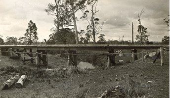 Bridge across the Tarra River on the Alberton to Won Wron line, 1921