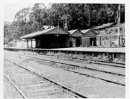 Warburton Station, 1964