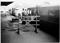 Walker 153 hp diesel railcars, Lilydale Station platform, circa 1964