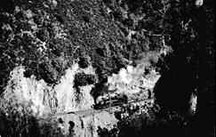 Aerial view of Walhalla train on a hillside track, 1906