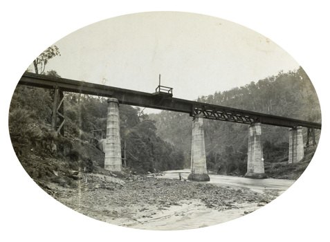 Bridge over the Thomson River on the Moe to Walhalla line, 1901