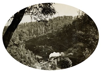 Bridge over the Thomson River on the Moe to Walhalla line, 1901