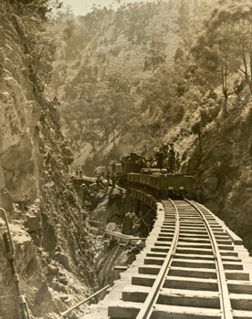 Construction staff with a trainload of timber, Walhalla district, 1906