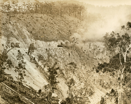 A train 250 feet above the Thomson River, Moe to Walhalla line, 1906