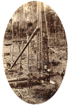 Bridge at Monbulk Creek on the Ferntree Gully to Gembrook line, 1900