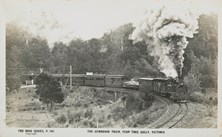 Gembrook train, Ferntree Gully, circa 1940