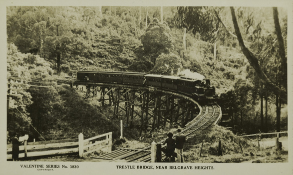 Crossing a wooden trestle bridge, near Belgrave Heights, circa 1940