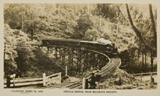 Crossing a wooden trestle bridge, near Belgrave Heights, circa 1940