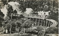 Gembrook train, Tecoma, circa 1920