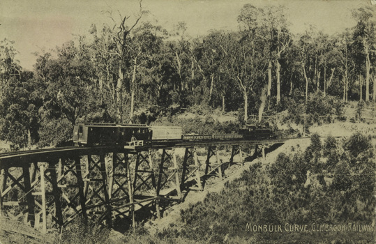 Monbulk Curve, Gembrook Railway, circa 1920