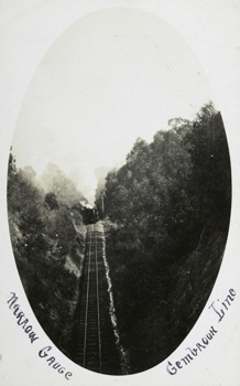 Narrow gauge steam locomotive, Gembrook district, post-1910