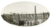 Bridge under construction over the Nicholson River on the Bairnsdale to Orbost line, 1915