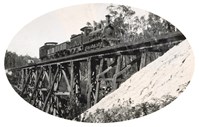 A steam R317 locomotive and tender drawing two trucks and a guard's van crossing Mundic Creek on the Bairnsdale to Orbost line, Bairnsdale, 1915